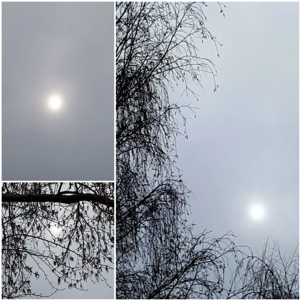 Коллаж автора статьи 02.04.2026г.