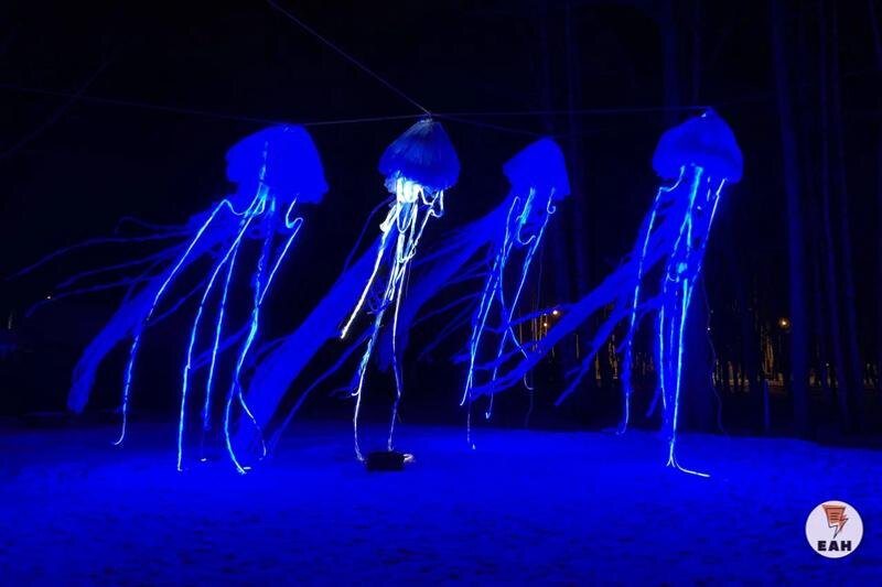    ЕАН. Голубые медузы