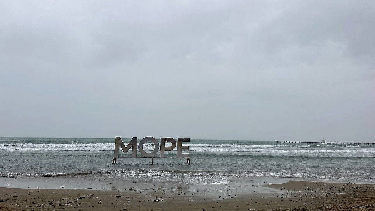    Фото: телеканал «Краснодар»