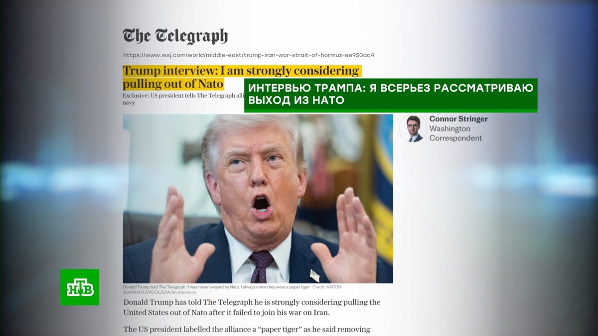   «Бумажный тигр»: Трамп рассматривает выход США из НАТО