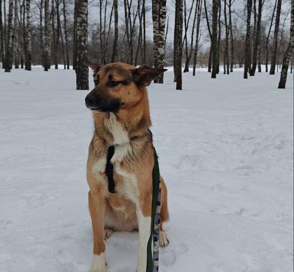 🖍️ Немного об истории Лоры от наших волонтеров