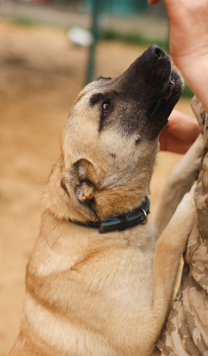 Вы скажите, что надо сделать и я сделаю