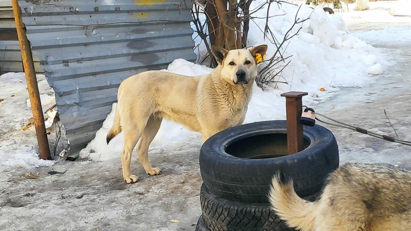    Фото: архив редакции