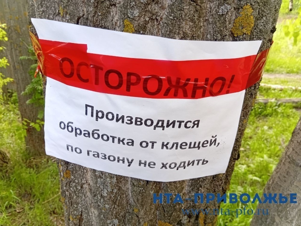    Третий случай присасывания клеща зафиксирован в Нижегородской области