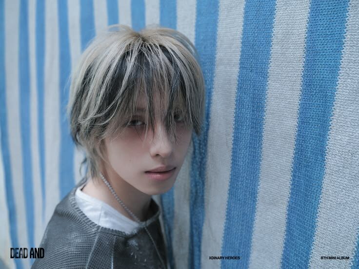 Внешность Гаона.