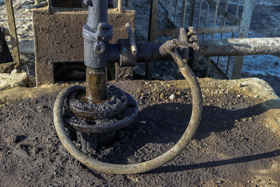    Сергей Булкин/NEWS.ru