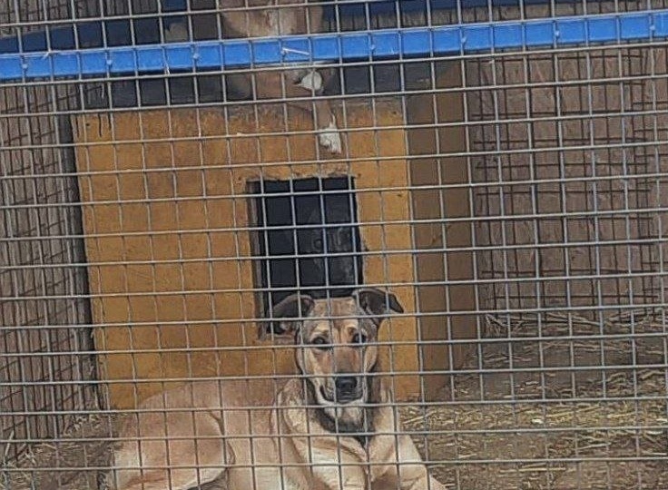 ДРУЗЬЯ, ОЧЕНЬ НУЖНА ЕДА В ПРИЮТ