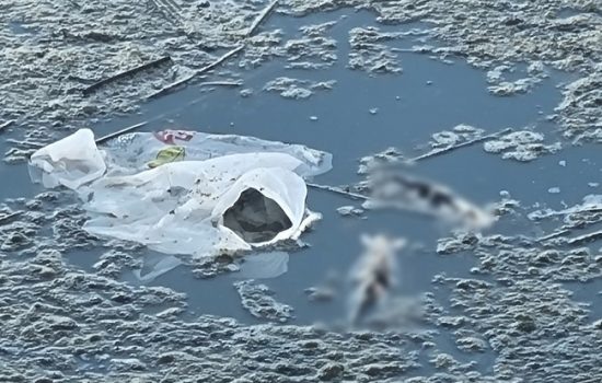    Фото: vk.com/khotynets_podslushano