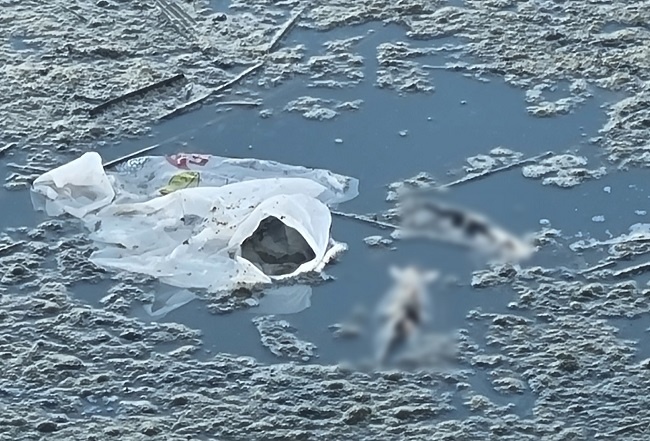    Фото: vk.com/khotynets_podslushano