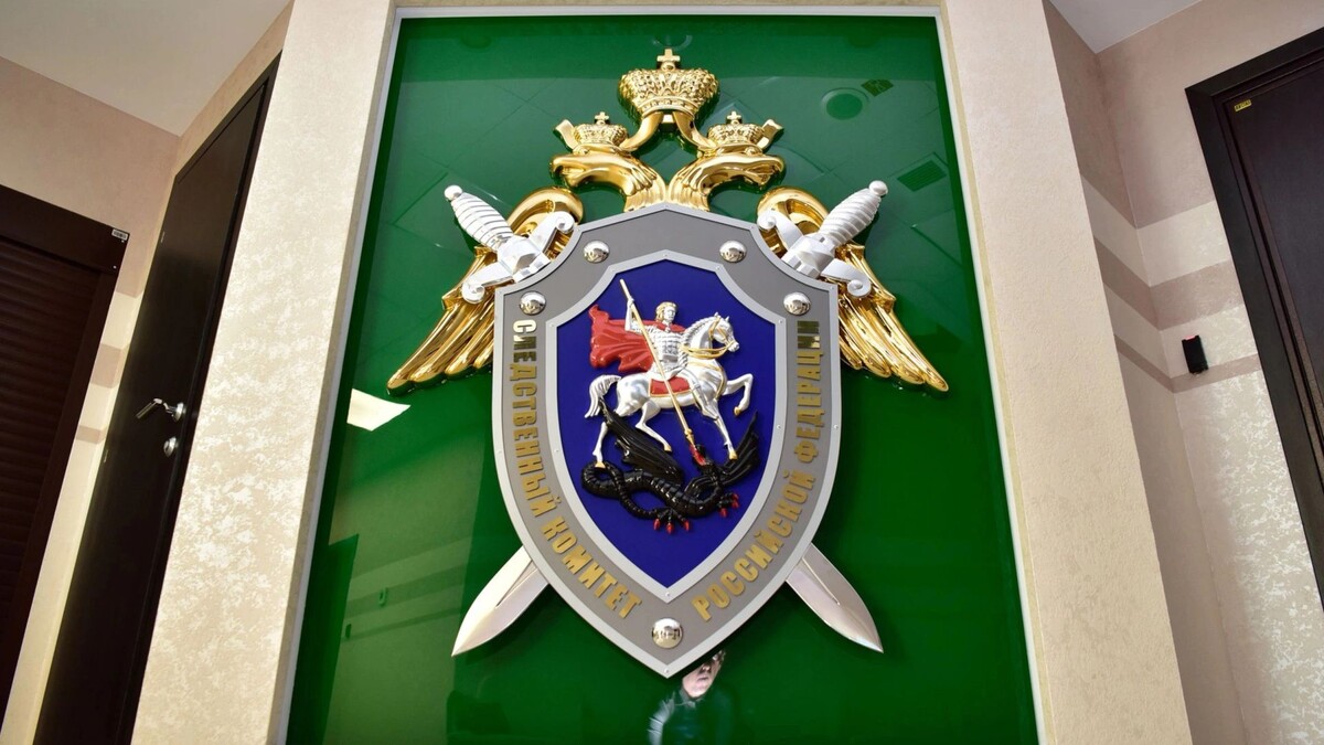    Фото: Андрей Ткачев/«Ямал-Медиа»