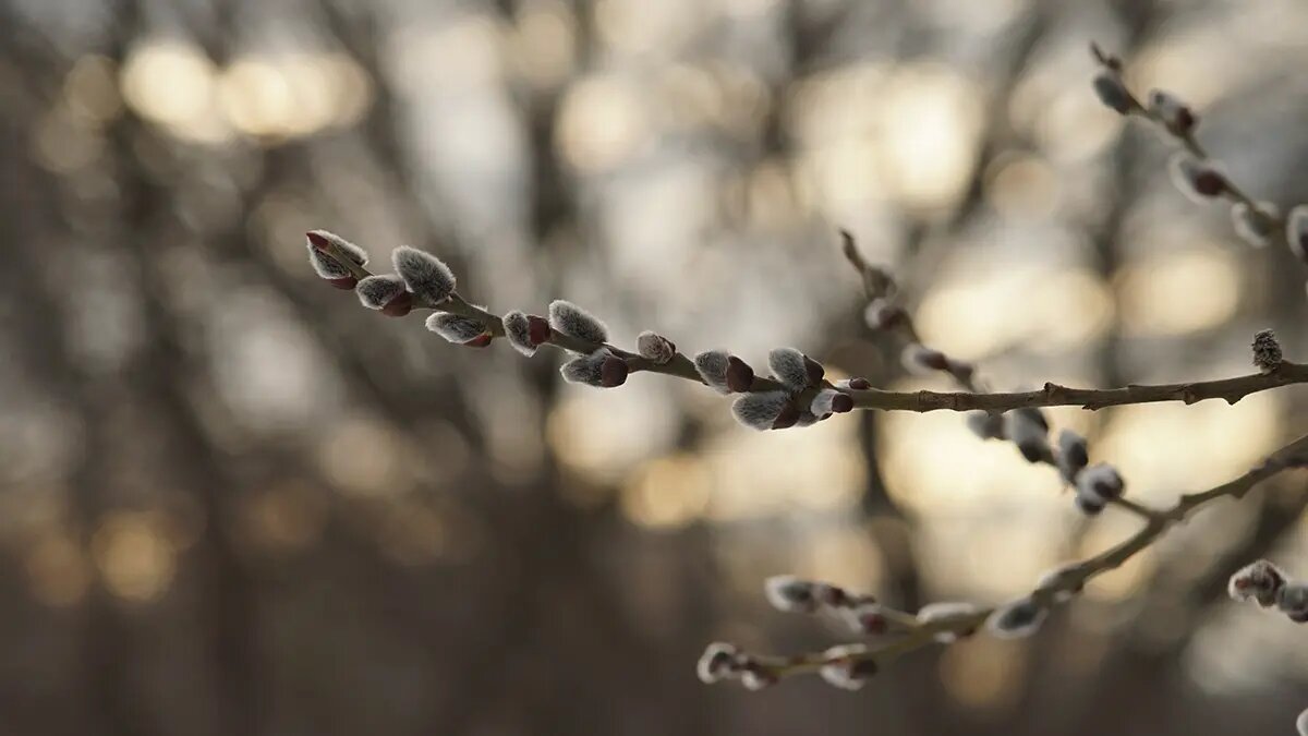    Источник: vm.ru/ Павел Евсеев