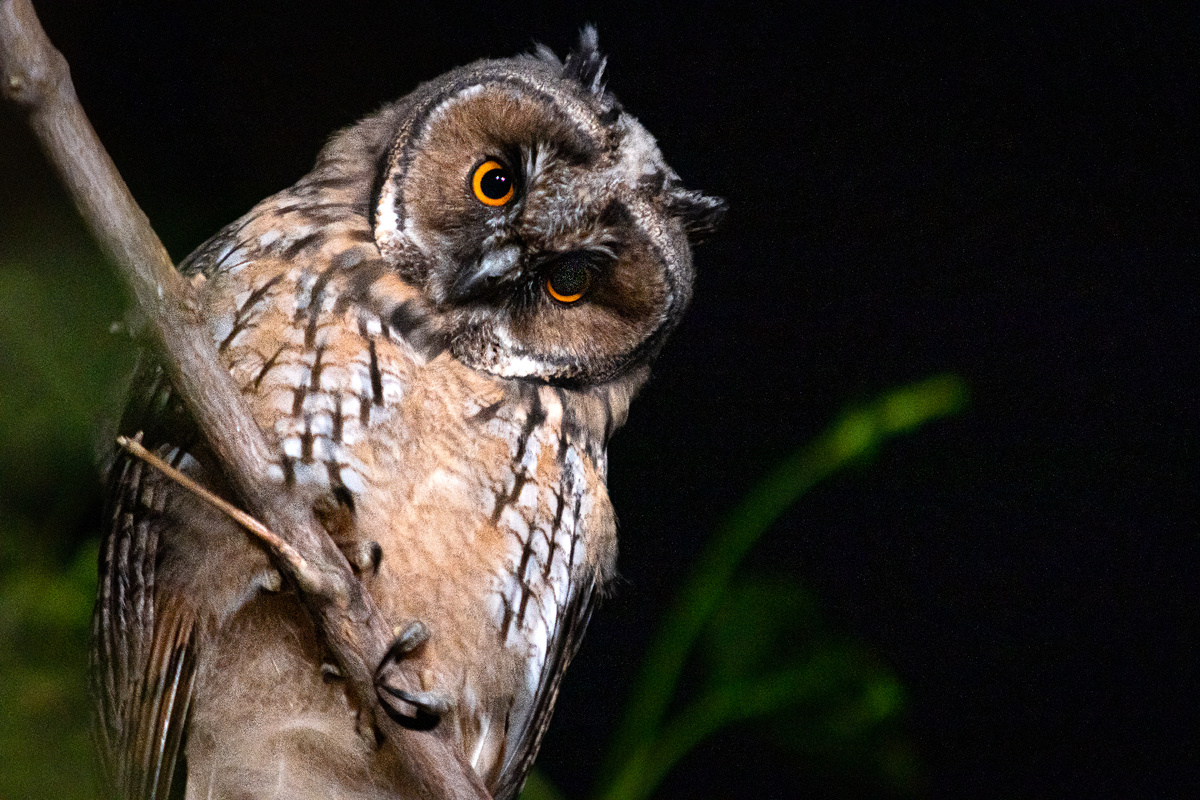 Фото: Тимофей Тихомиров.