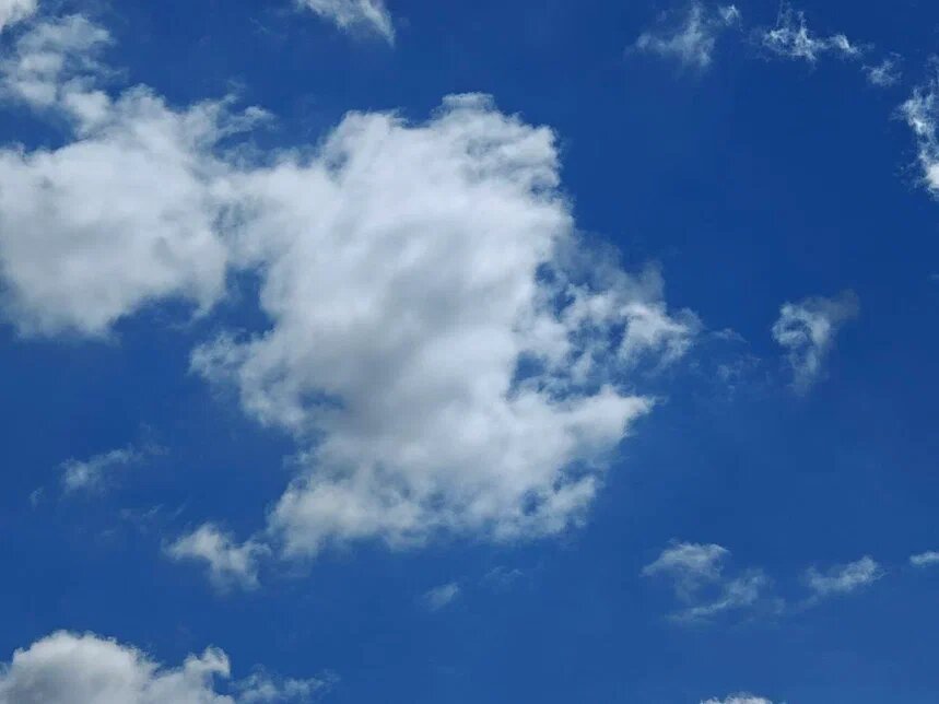    Фото: Юрий Серебренников/BFM Кубань