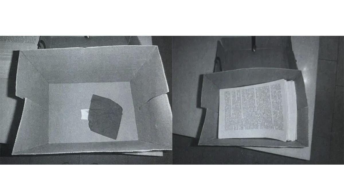    Фото: пресс-служба прокуратуры Петербурга