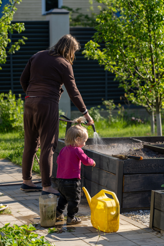 Семья поливает овощи на детской грядке