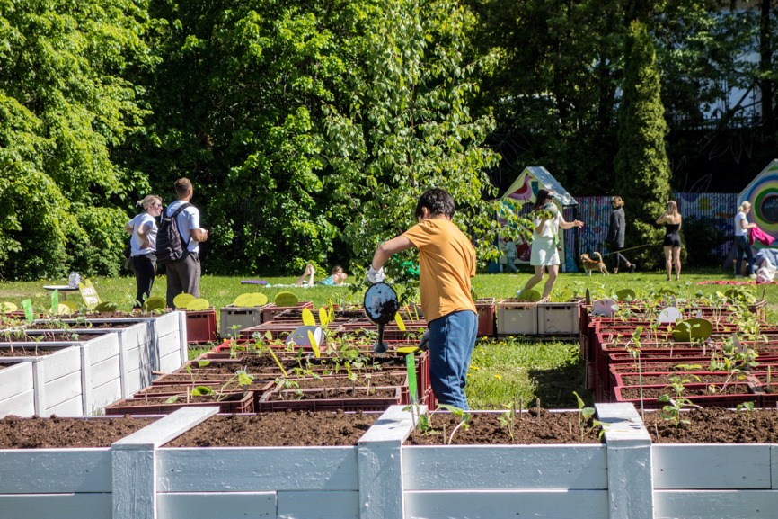  Мальчик поливает детскую грядку на пришкольном участке