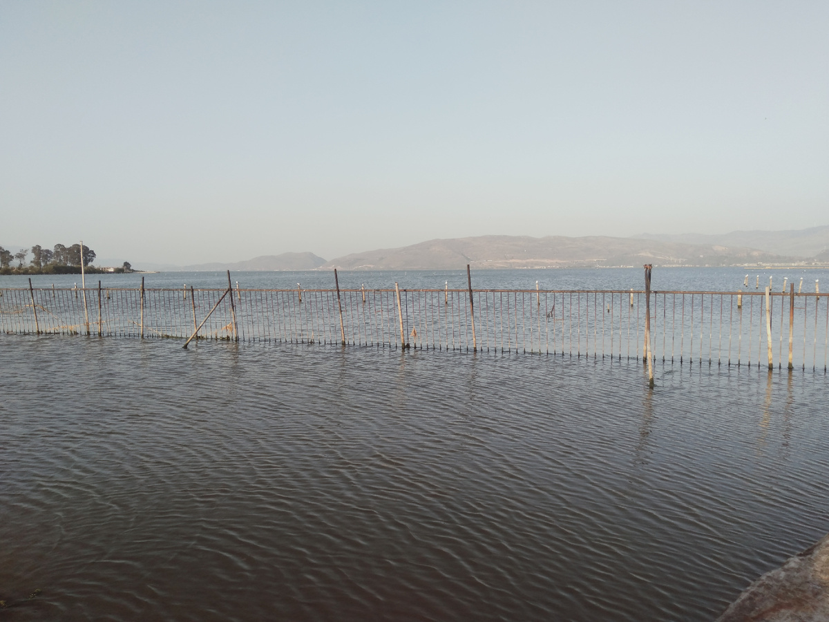Разводят рыб в Юйси, breeding fish in Yuxi