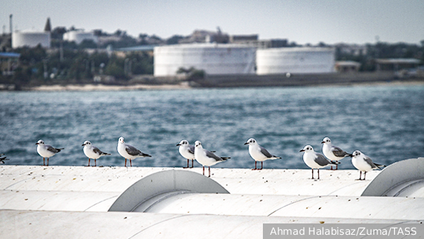     Фото: Ahmad Halabisaz/Zuma/TASS   
 Текст: Вера Басилая