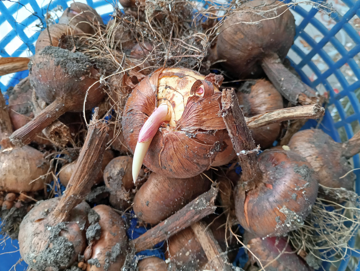 Фото автора.