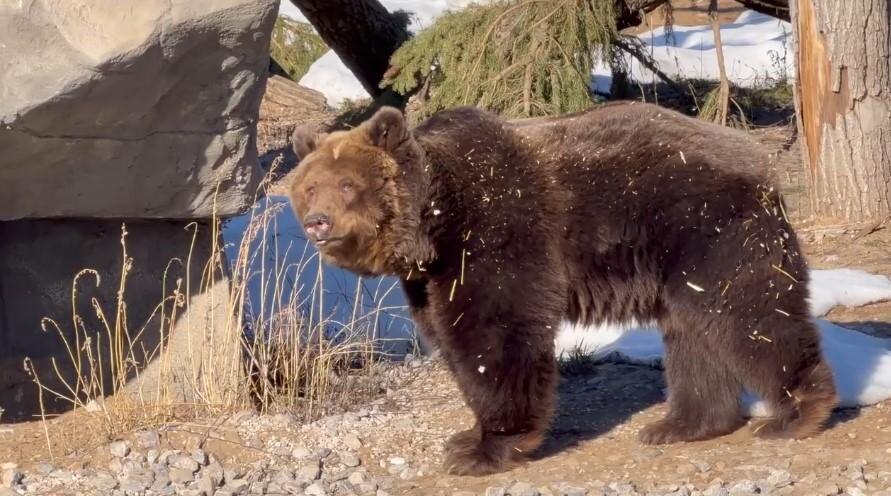    © Пермский зоопарк