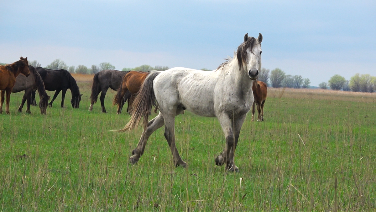 Э, ты че тут снимаешь?!