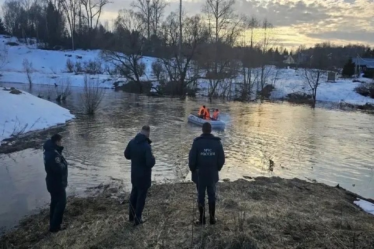    Фото: глава Боровского округа Николай Калиничев.