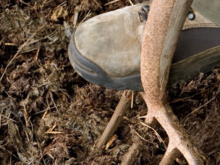 Почему органическое земледелие невозможно без коров, или Как навоз оказался важнее удобрений