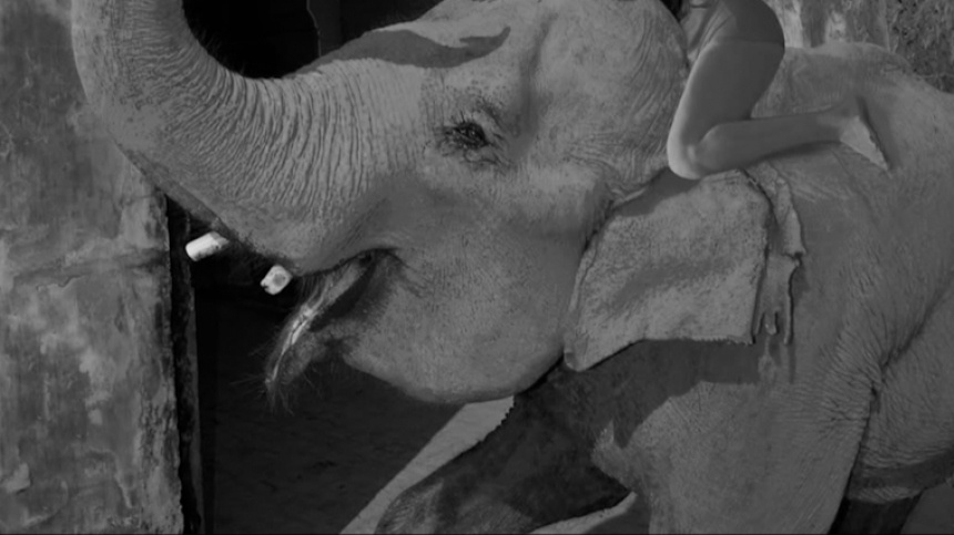    Фото: Instagram*/julia.buruleva