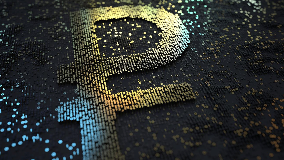    Автор фото: Novikov Aleksey/ Shutterstock