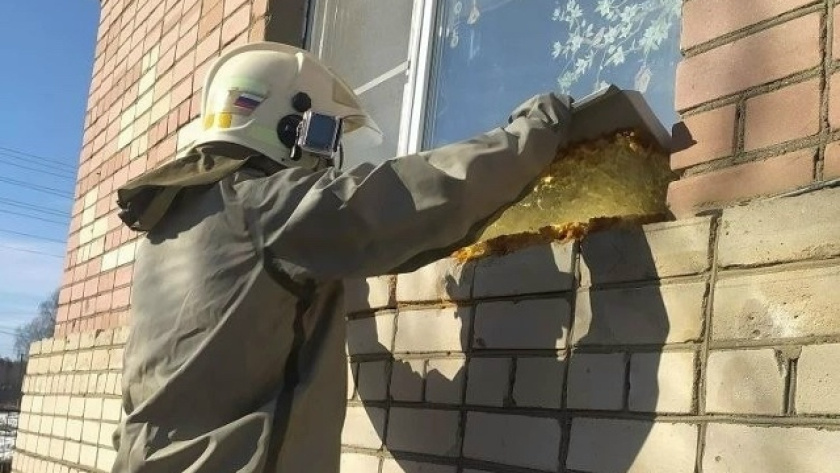    Фото: Спасатели Костромской области