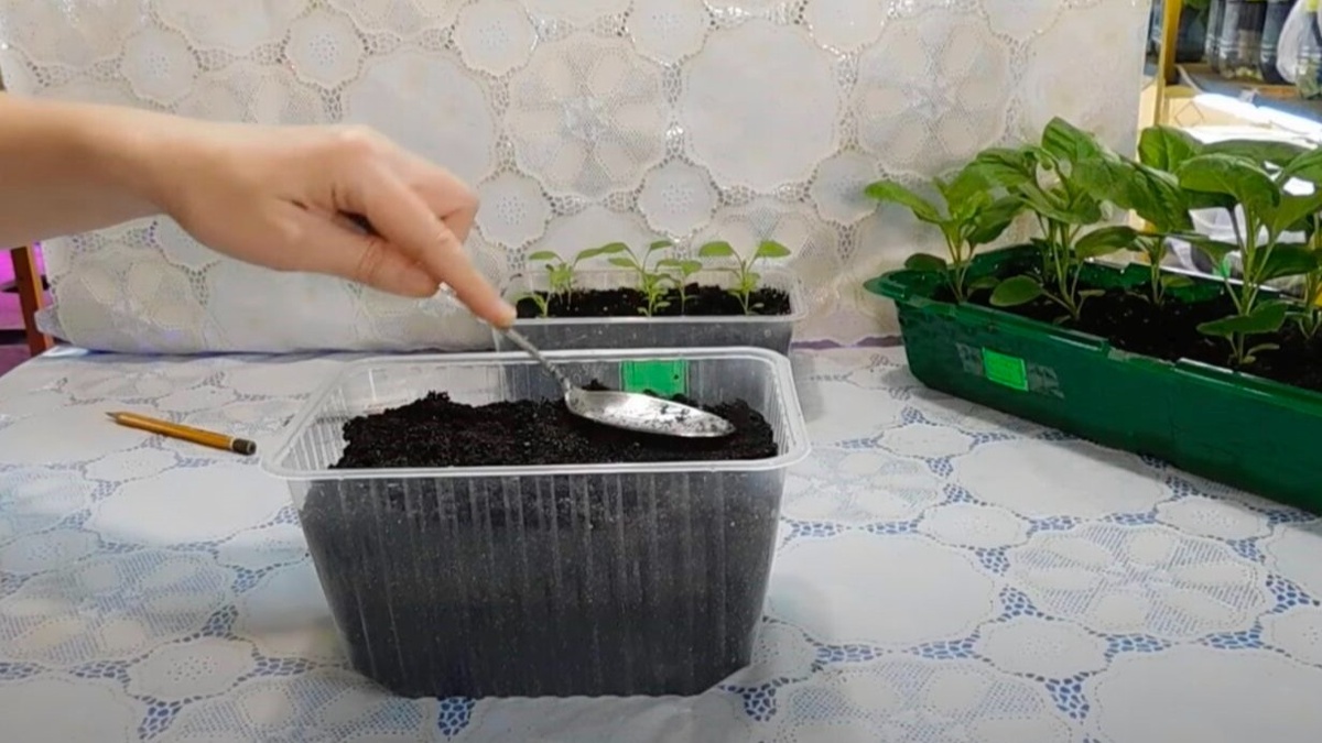 Тепло и плёнка — два главных условия до первых всходов