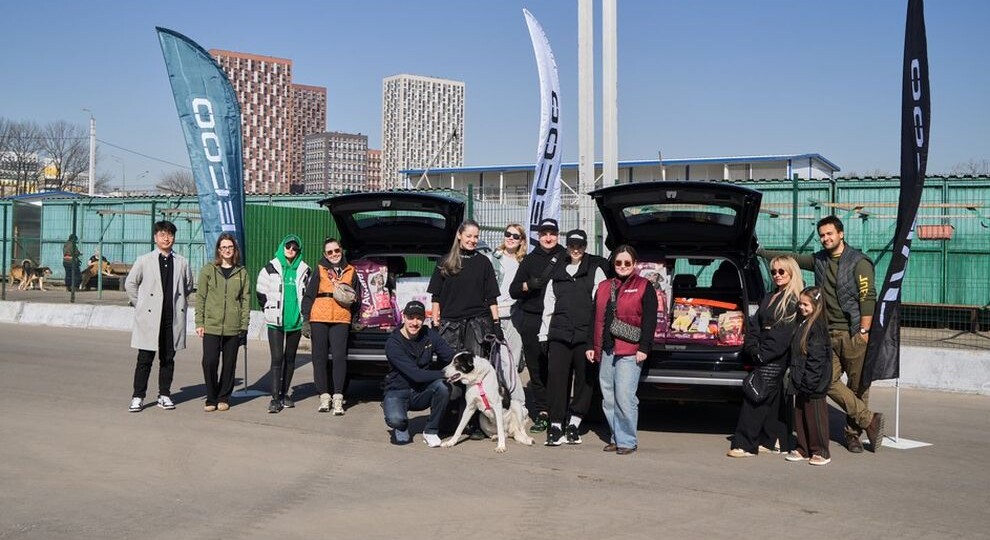 Целая тонна добра. Как владельцы JAECOO J6 спасали хвостатых