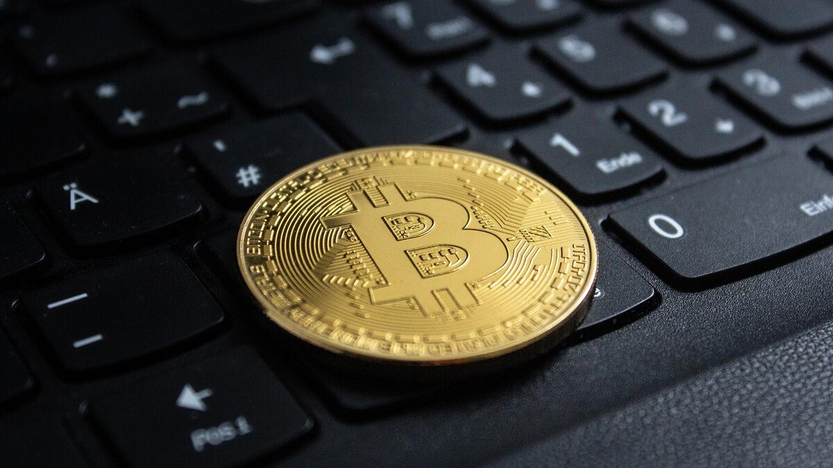    Фото: freepik.com/wirestock