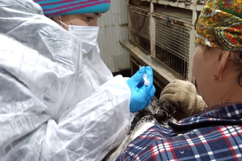 Требования для владельцев птиц