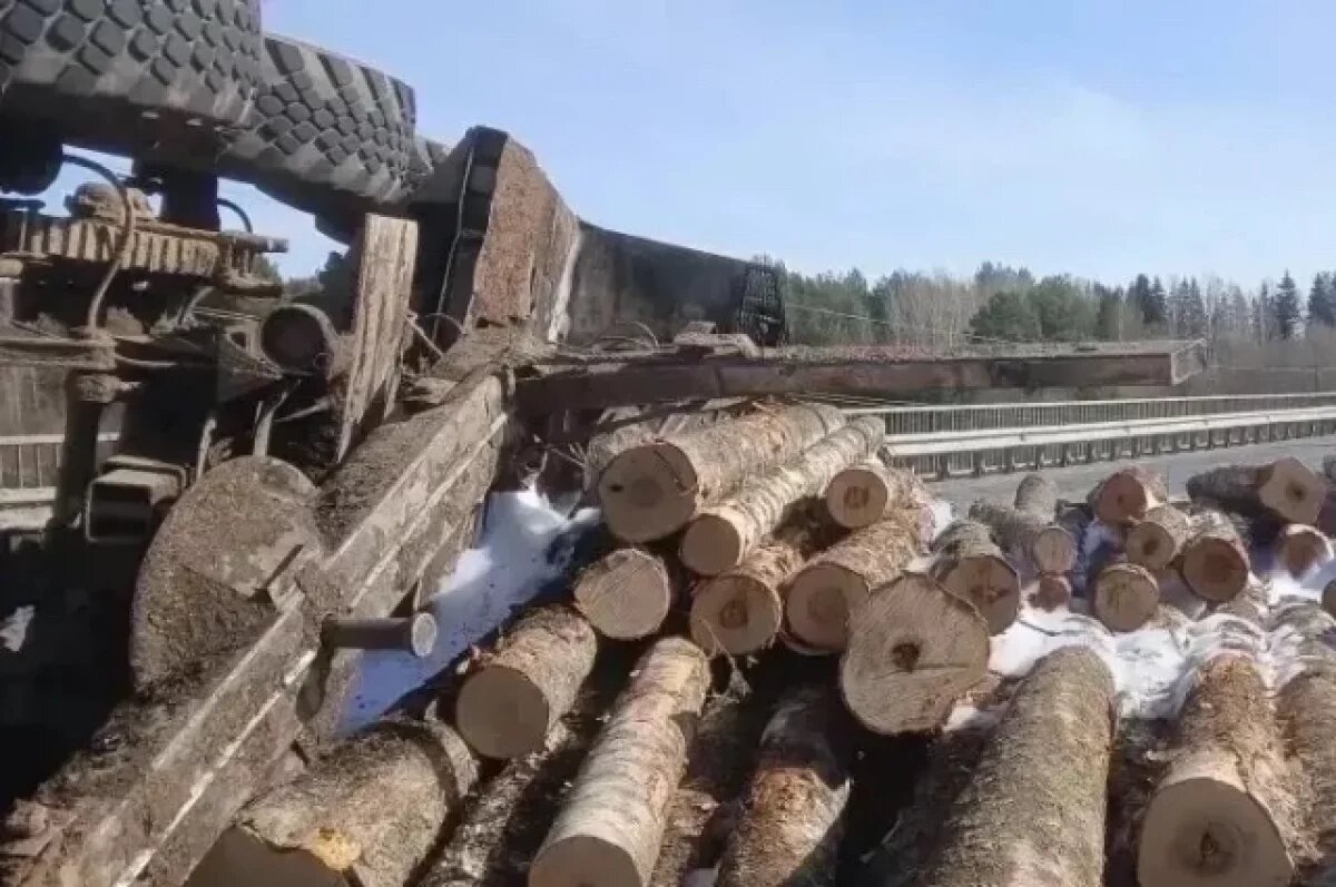    Брёвна разлетелись по проезжей части.