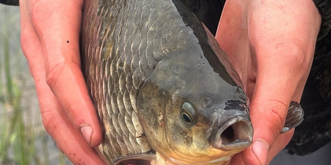 В Курганской области растет заболеваемость опасной инфекцией