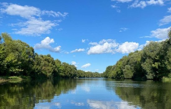    Фото: ИА "Орелград" / Светлана Числова