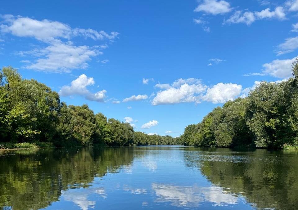    Фото: ИА “Орелград” / Светлана Числова