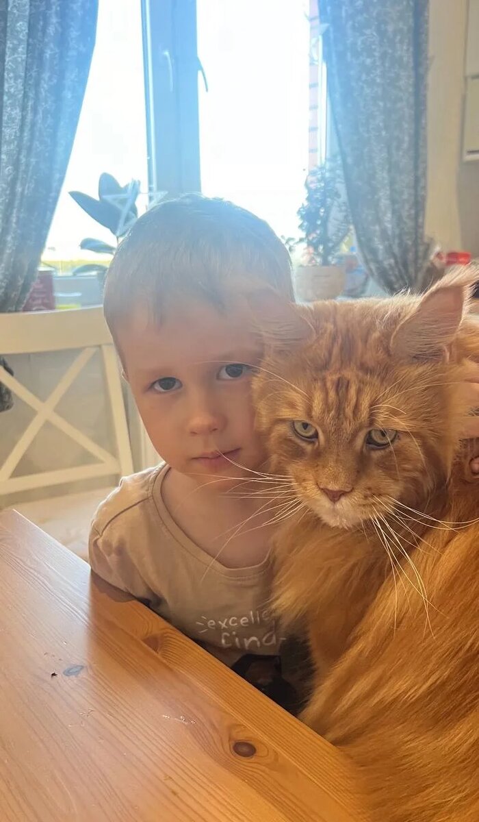 мейн-кун и дети