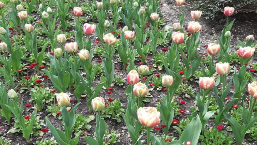    Фото редакции