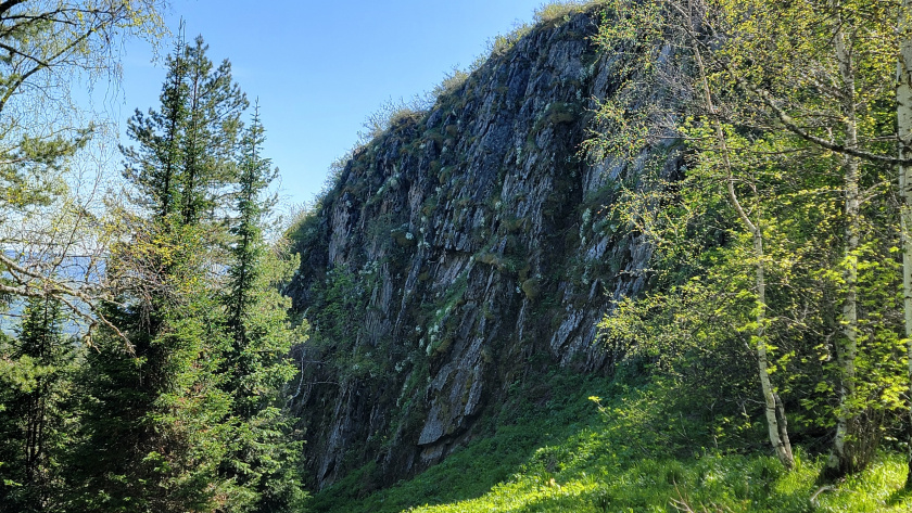    Автор: Тадевосян Давид