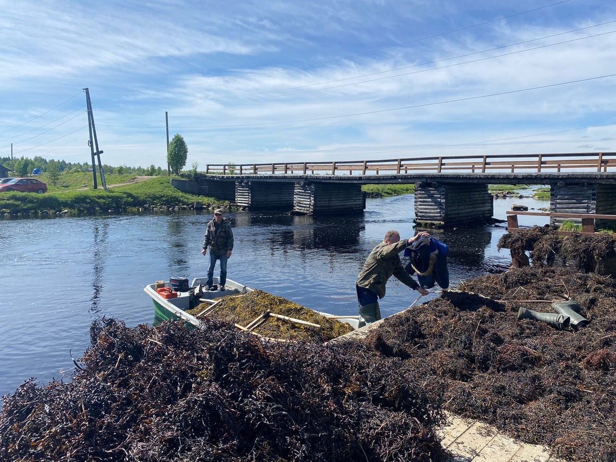    фото: © Министерство сельского и рыбного хозяйства РК/ ВК