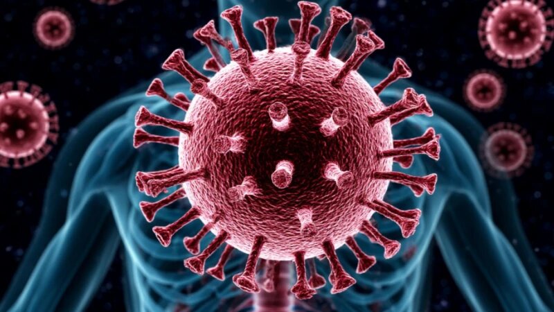     Вирус. Организм. Болезнь. shedevrum.ai