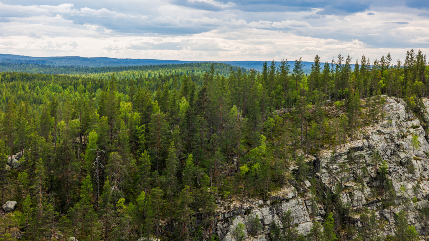    Фото: © РИА Новости/Илья Тимин