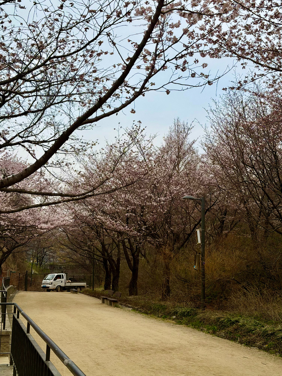 Seoul Forest park, Deer corral
