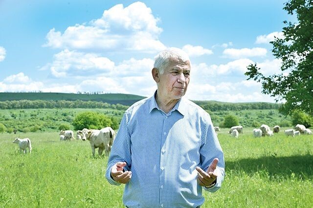 Срочно! Проблема крупным планом. Ликвидация-2: картина мясом