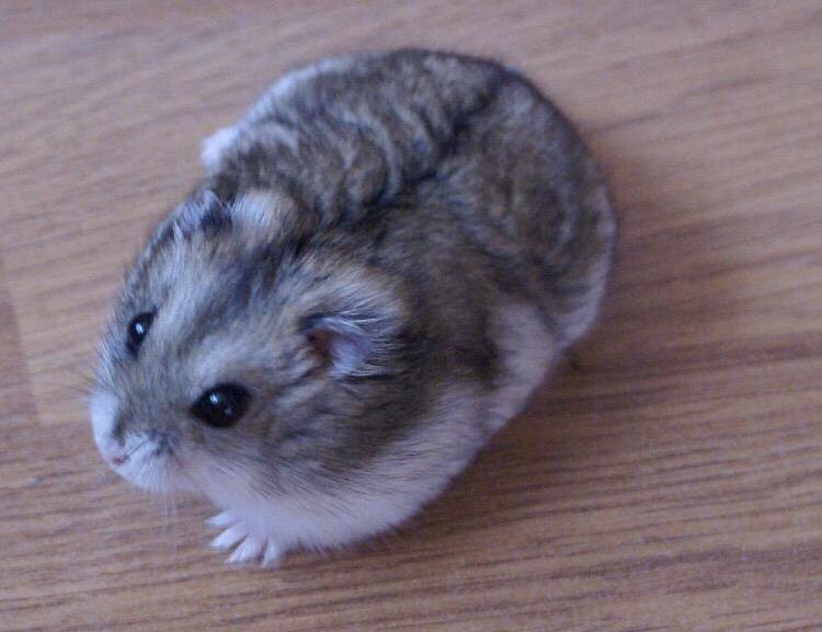 Фотография из интернета