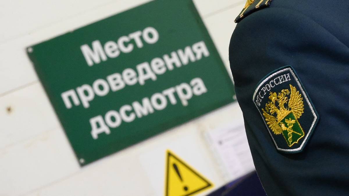    Фото: Пелагия Замятина / Вечерняя Москва