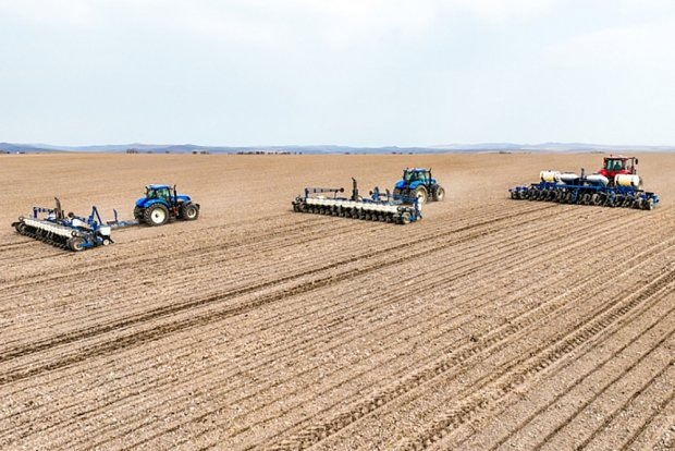 🚀 Приморье бьёт рекорды: экспорт зерна взлетел на 60