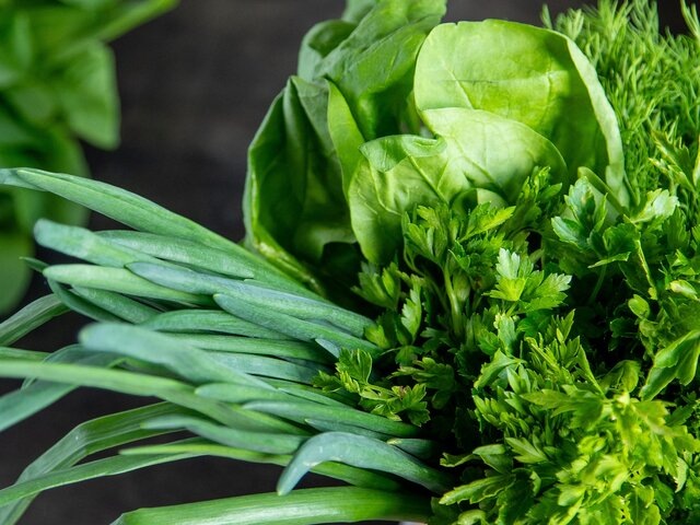    Фото: 123RF.com/allagreeg